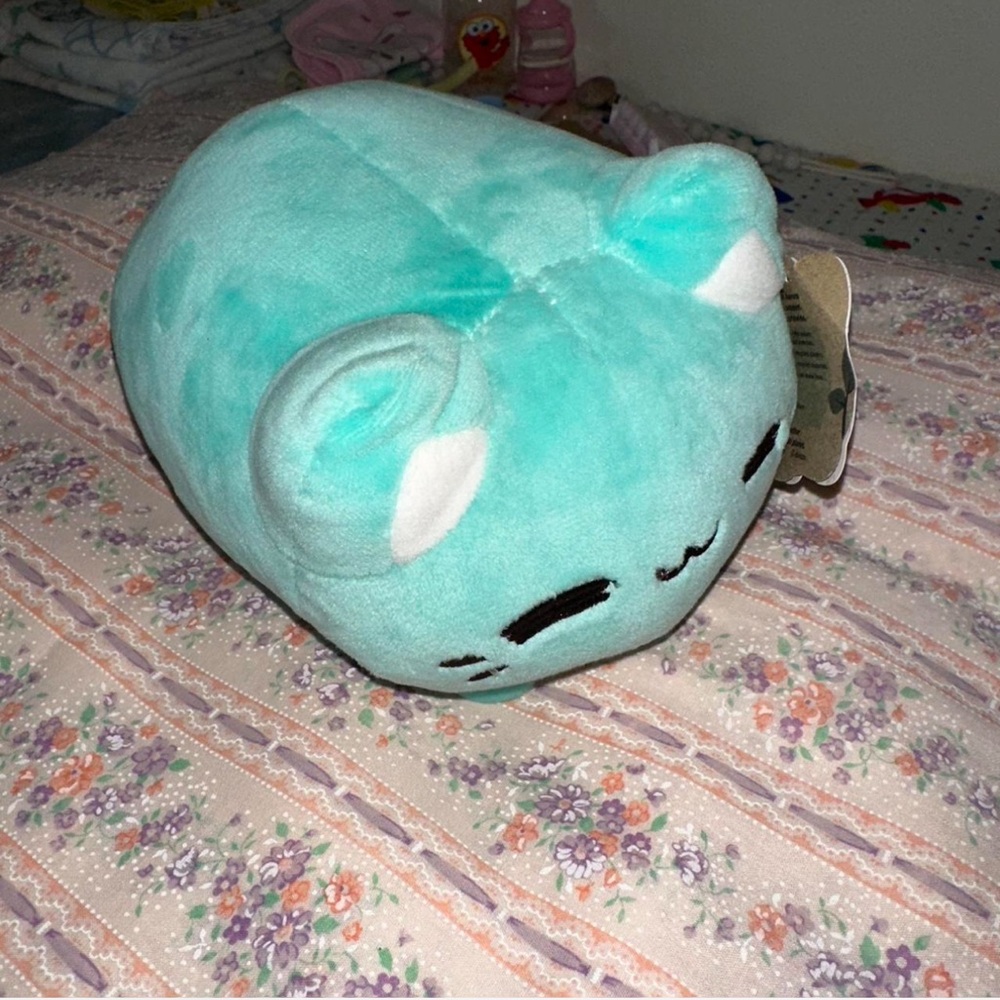 Aurora Kitten Plush 🩵